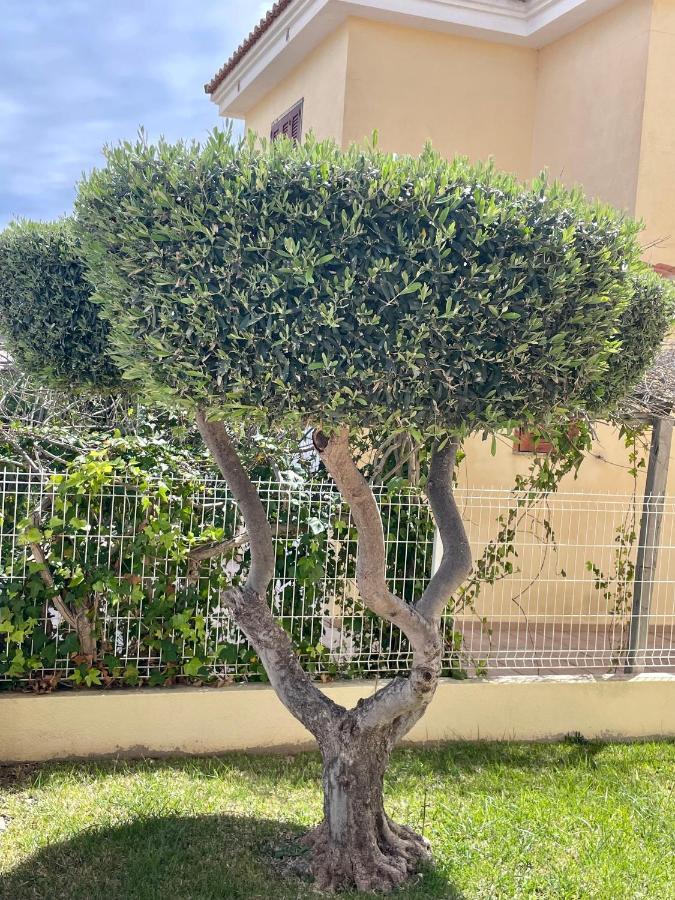 Los Alamos Somhome Peñíscola Eksteriør billede